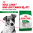 Royal Canin Mini Adult сухой корм для взрослых собак мелких пород - 8 кг