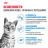 Royal Canin Indoor Appetite Control сухой корм для взрослых кошек, живущих в помещении и склонных к перееданию - 400 г