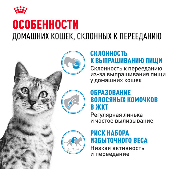 Royal Canin Indoor Appetite Control сухой корм для взрослых кошек, живущих в помещении и склонных к перееданию - 400 г