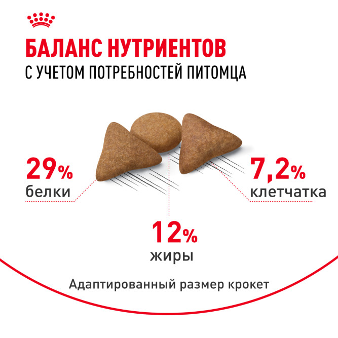 Royal Canin Indoor Appetite Control сухой корм для взрослых кошек, живущих в помещении и склонных к перееданию - 400 г