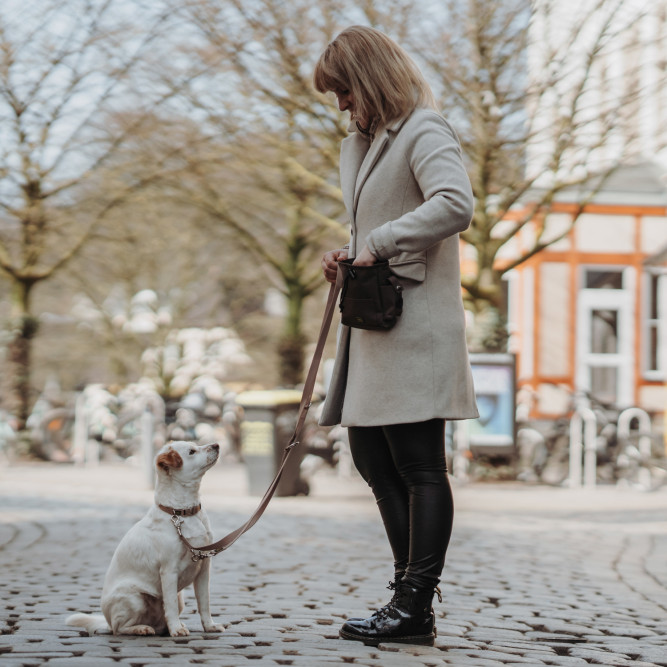 Hunter ALU-Strong Inari ошейник для собак, M (40-55 см), нейлон с металлической застежкой, бежевый