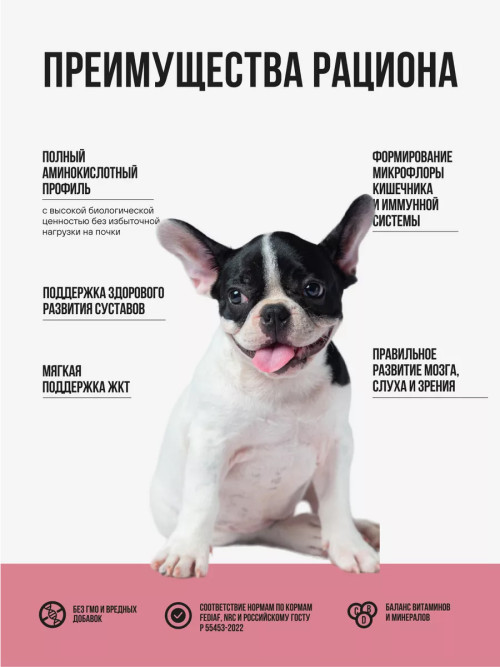 BOWL WOW сухой корм для щенков средних пород с индейкой, рисом и клюквой - 2 кг