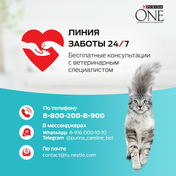Purina One Природа Здоровья сухой корм для взрослых кошек, с высоким содержанием индейки - 680 г
