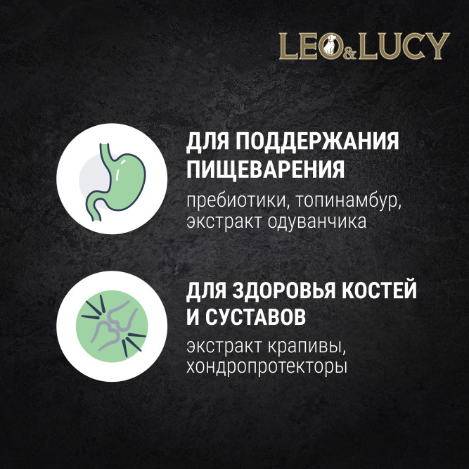 LEO&amp;LUCY влажный холистик корм для взрослых и пожилых собак всех пород с ягненком и грушей, паштет, в консервах - 400 г х 24 шт