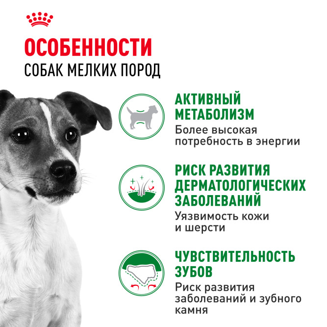 Royal Canin Mini Adult сухой корм для собак мелких пород - 800 г
