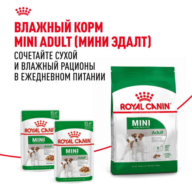 Royal Canin Mini Adult сухой корм для собак мелких пород - 800 г