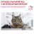 Royal Canin Senior Consult Stage 1 сухой корм для кошек старше 7 лет, не имеющих видимых признаков старения - 10 кг