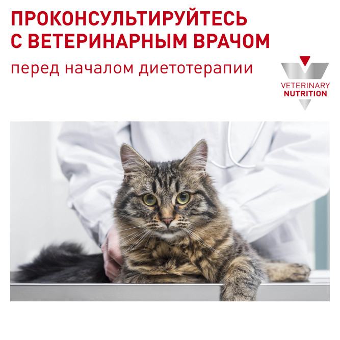 Royal Canin Senior Consult Stage 1 сухой корм для кошек старше 7 лет, не имеющих видимых признаков старения - 10 кг