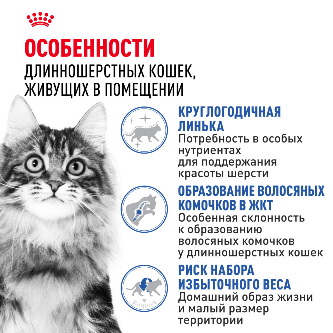Royal Canin Indoor Long Hair 35 для домашних длинношерстных кошек - 2 кг