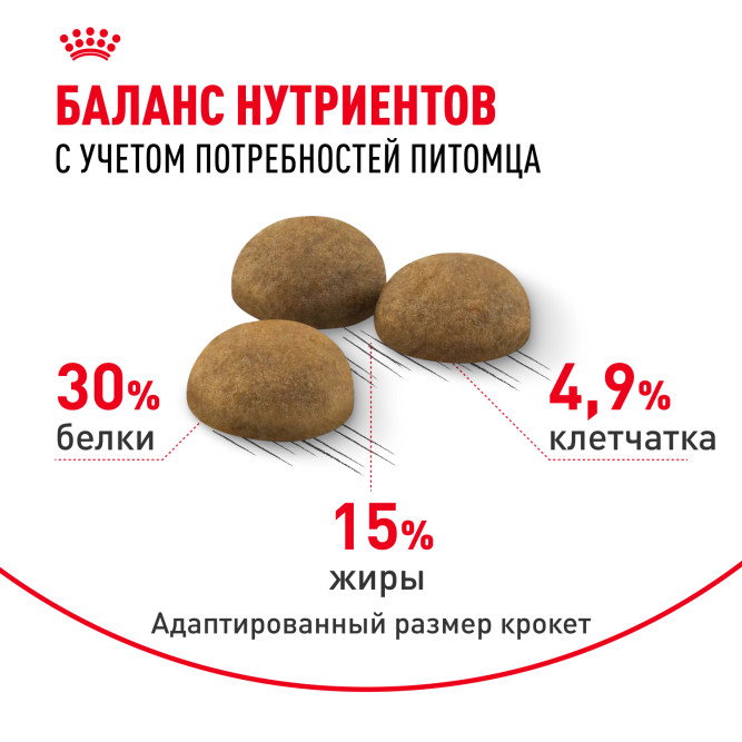 Royal Canin Indoor Long Hair 35 для домашних длинношерстных кошек - 2 кг