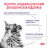 Royal Canin Neutered Satiety Balance сухой корм для кастрированных котов и стерилизованных кошек - 8 кг