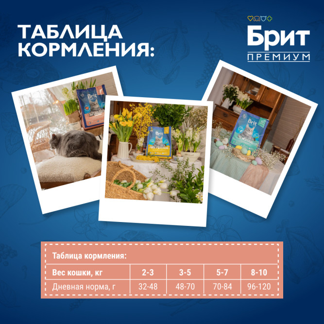 Brit Premium Cat Sterilised сухой корм для взрослых стерилизованных кошек с курицей и лососем - 2 кг