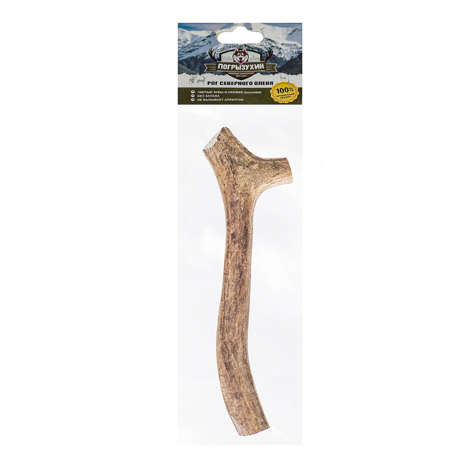 собака грызет лакомство. можно ли собаке рога. погрызухин рога оленя лакомство для собак, xs. можно ли собаке рога. собака грызет лакомство.