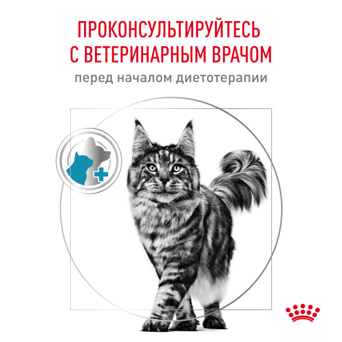 Royal Canin Skin &amp; Coat сухой диетический корм для стерилизованных кошек с чувствительной кожей - 1,5 кг