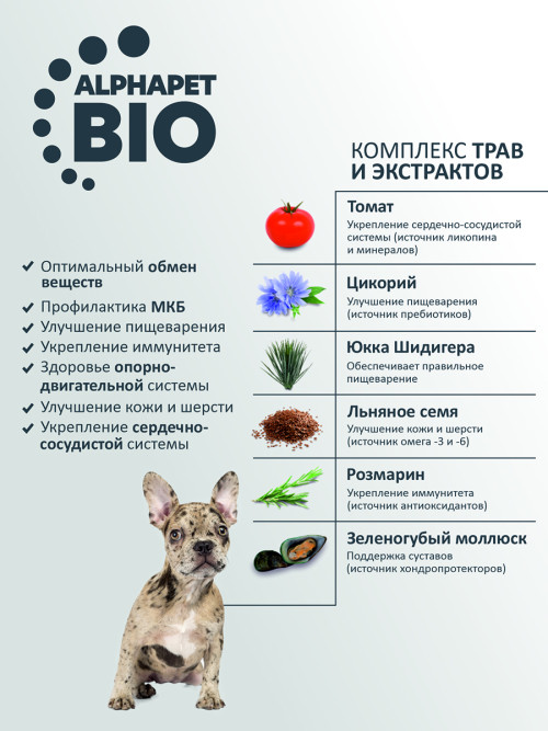 AlphaPet Superpremium сухой полнорационный корм для щенков, беременных и кормящих собак средних пород с говядиной и рисом - 2 кг