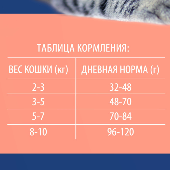Brit Premium Cat Sterilised сухой корм для взрослых стерилизованных кошек с курицей и лососем - 8 кг