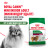 Royal Canin Indoor Life Adult сухой корм для взрослых собак мелких пород, живущих главным образом в помещении - 3 кг