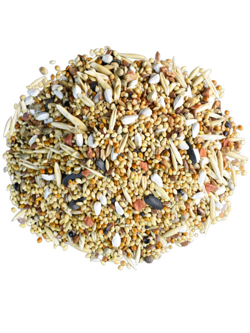 Prime Ever сухой корм для волнистых попугаев - 500 г