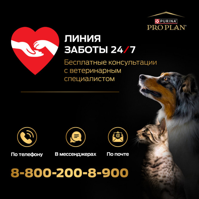 Pro Plan Adult Sterilised Vital Functions сухой корм для взрослых стерилизованных кошек для поддержания функций почек, мозга и иммунитета, с лососем - 10 кг