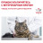 Royal Canin Anallergenic сухой корм для взрослых кошек с аллергической реакцией на корм - 2 кг