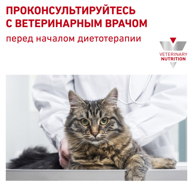 Royal Canin Anallergenic сухой корм для взрослых кошек с аллергической реакцией на корм - 2 кг