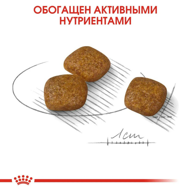 Royal Canin Mini Urinary Care сухой корм для собак мелких пород с чувствительной мочевыделительной системой - 1 кг