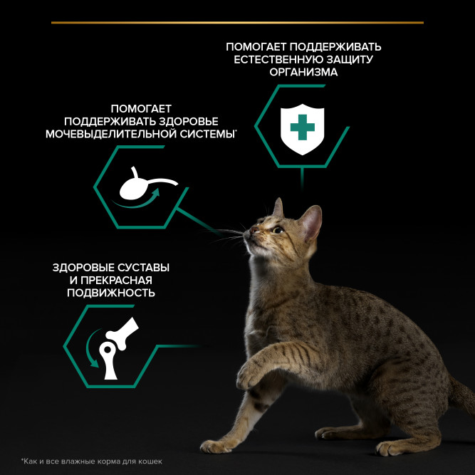 Pro Plan Adult Maintenance влажный корм для взрослых кошек, с уткой в соусе - 85 г x 26 шт