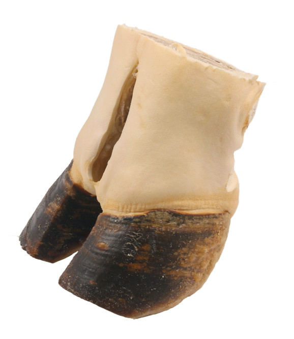 TiTBiT лакомство для собак Путовый сустав говяжий - 480 г