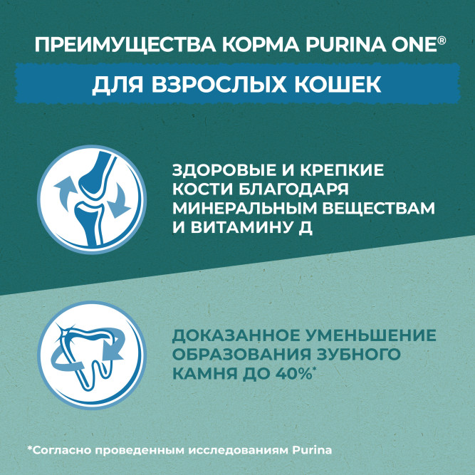 Purina One Природа Здоровья сухой корм для взрослых кошек, с курицей - 180 г