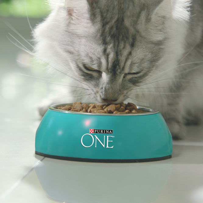 Purina One Природа Здоровья сухой корм для взрослых кошек, с курицей - 180 г