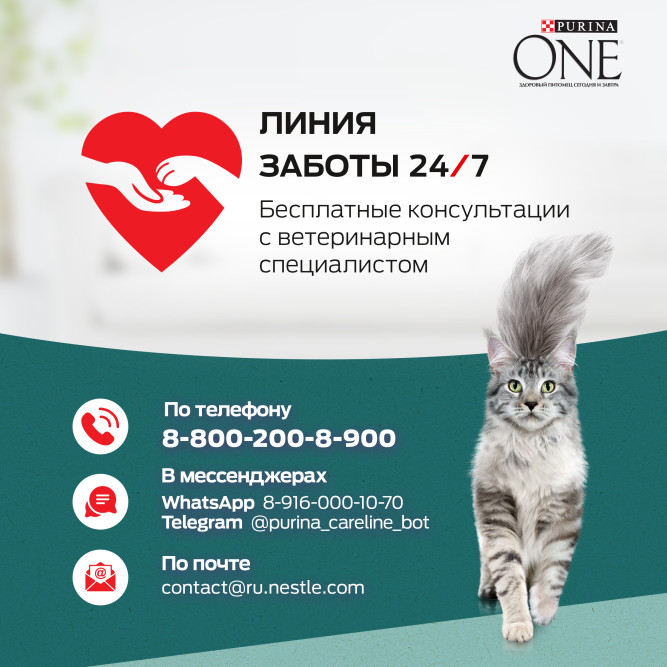 Purina One Природа Здоровья сухой корм для взрослых кошек, с курицей - 180 г