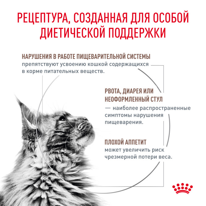 Royal Canin Gastrointestinal сухой корм для взрослых кошек при расстройствах пищеварения - 400 г