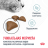 Royal Canin Hairball Care сухой корм для взрослых кошек для вывода шерсти из желудка - 10 кг