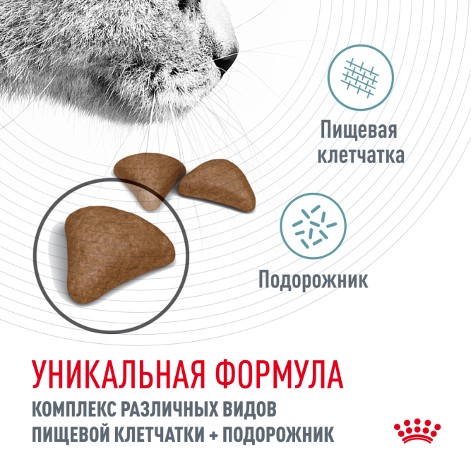 Royal Canin Hairball Care сухой корм для взрослых кошек для вывода шерсти из желудка - 10 кг