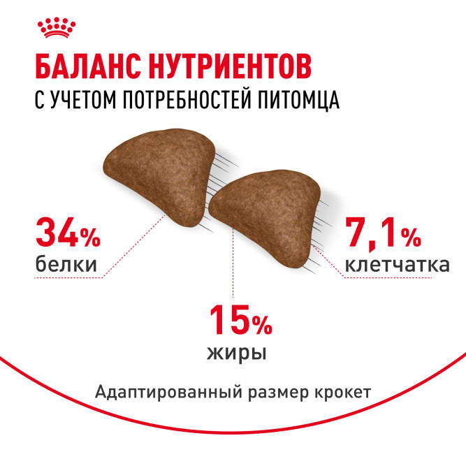 Royal Canin Hairball Care сухой корм для взрослых кошек для профилактики образования волосяных комочков - 10 кг