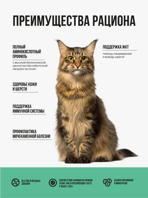 BOWL WOW Fresh Meat сухой корм для взрослых стерилизованных кошек с индейкой, курицей  и шпинатом - 4 кг