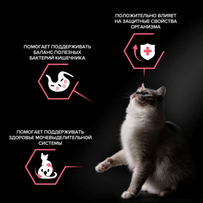 Purina Pro Plan Nature Elements Sterilised сухой корм для взрослых стерилизованных кошек, с высоким содержанием курицы - 400 г