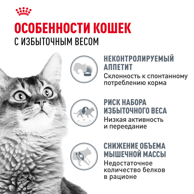 Royal Canin Light Weight Care влажный корм для взрослых кошек, для контроля набора веса, мелкие кусочки в желе, в паучах - 85 г х 28 шт
