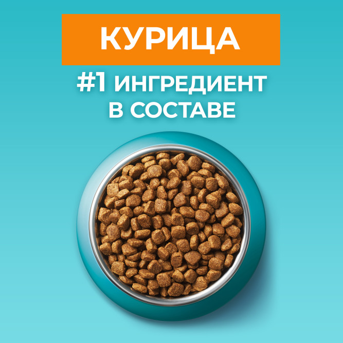 Purina One сухой корм для взрослых стерилизованных домашних кошек с курицей - 3 кг