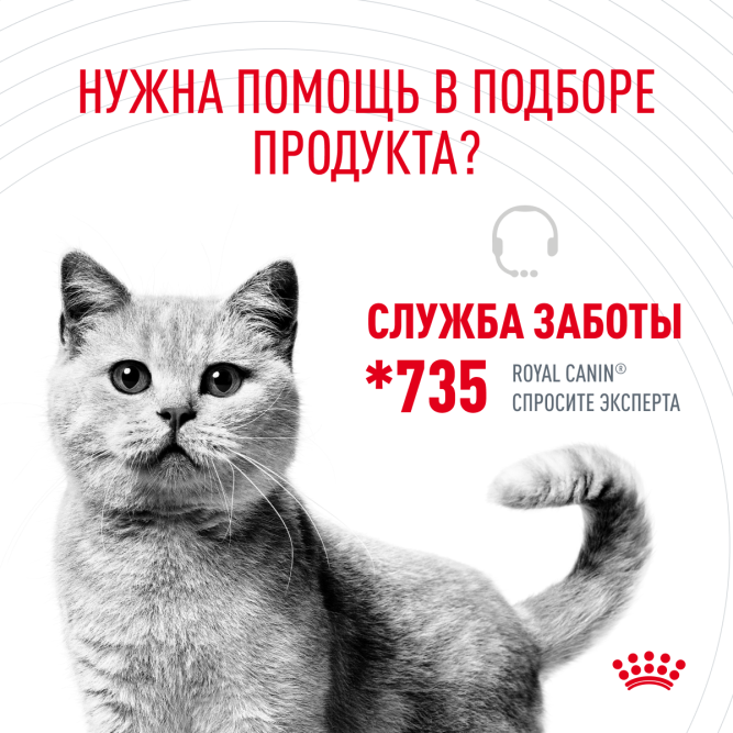 Royal Canin Hairball Care для кошек при недостаточном выведении волосяных комочков из желудочно-кишечного тракта - 2 кг