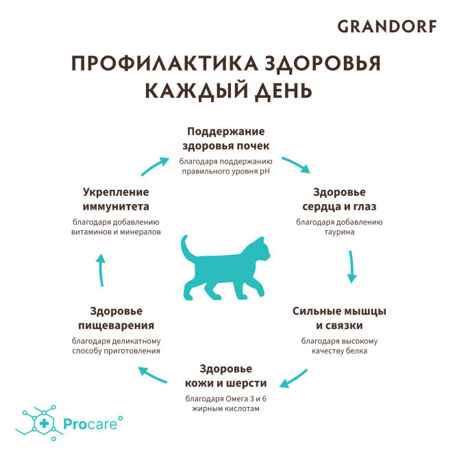 Grandorf сухой корм для котят с ягненком и индейкой - 400 г