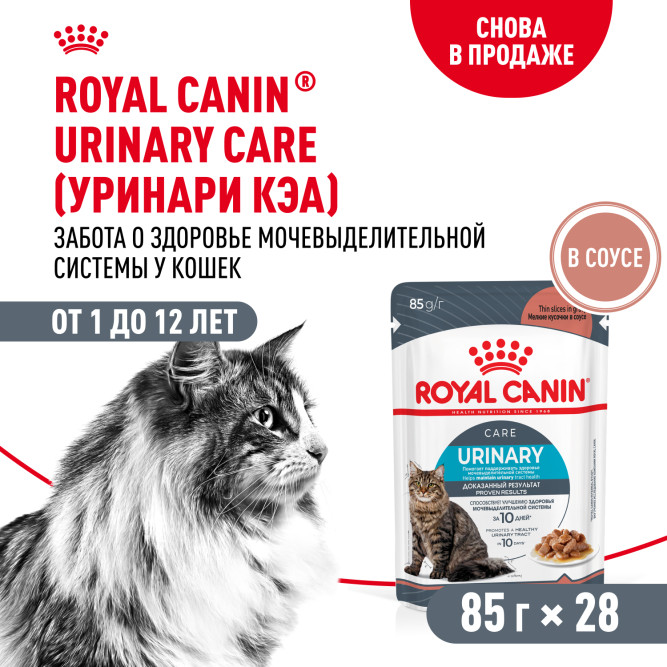 Royal Canin Urinary Care влажный корм для взрослых кошек, для поддержания здоровья мочевыделительной системы, мелкие кусочки в соусе, в паучах - 85 г х 28 шт
