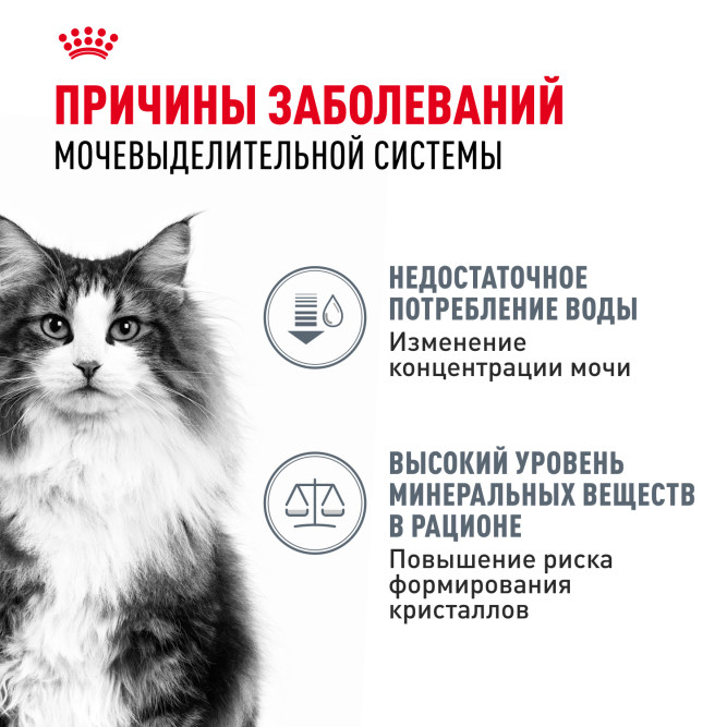 Royal Canin Urinary Care влажный корм для взрослых кошек, для поддержания здоровья мочевыделительной системы, мелкие кусочки в соусе, в паучах - 85 г х 28 шт