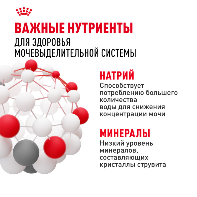 Royal Canin Urinary Care влажный корм для взрослых кошек, для поддержания здоровья мочевыделительной системы, мелкие кусочки в соусе, в паучах - 85 г х 28 шт