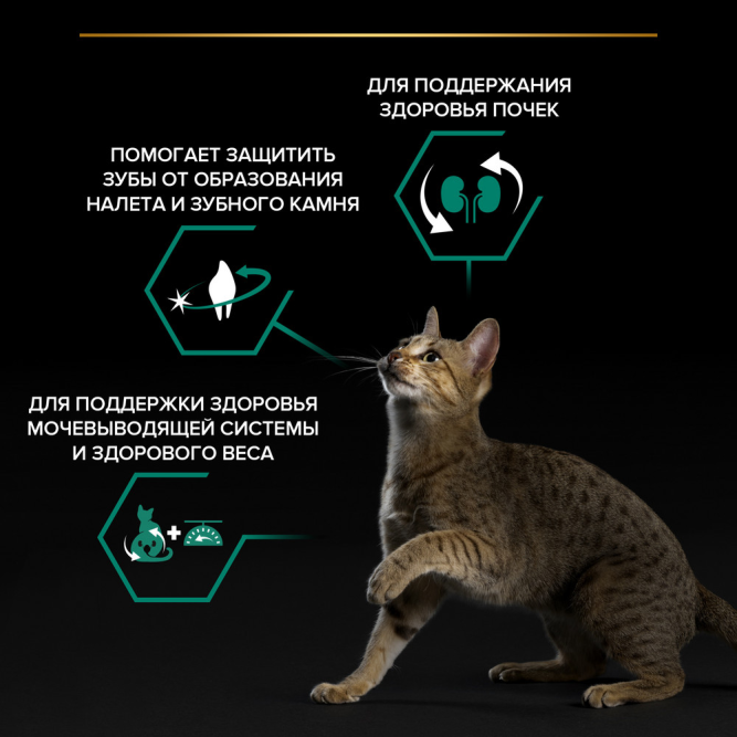 Pro Plan Cat Adult Sterilised сухой корм для стерилизованных кошек с индейкой - 1,5 кг + 400 г в подарок