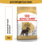 Royal Canin Miniature Schnauzer Adult корм для собак породы миниатюрный шнауцер старше 10 месяцев - 3 кг