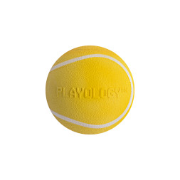 Playology SQUEAKY CHEW BALL хрустящий жевательный мяч для собак с пищалкой и с ароматом курицы, 8 см, желтый