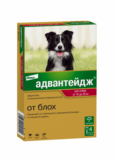 Адвантейдж капли на холку от блох для собак весом от 10 до 25 кг - 4 пипетки