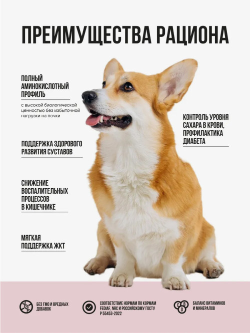 BOWL WOW сухой корм для взрослых собак средних пород с индейкой, рисом и яблоком - 2 кг