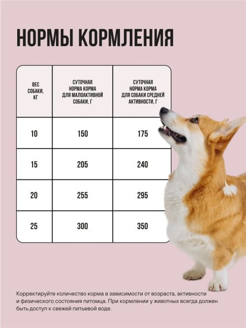 BOWL WOW сухой корм для взрослых собак средних пород с индейкой, рисом и яблоком - 2 кг